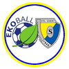 Ekoball Stal